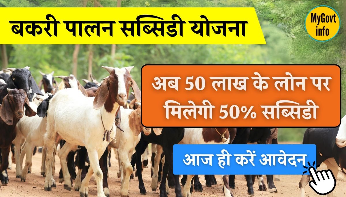 Goat Farming Subsidy Scheme